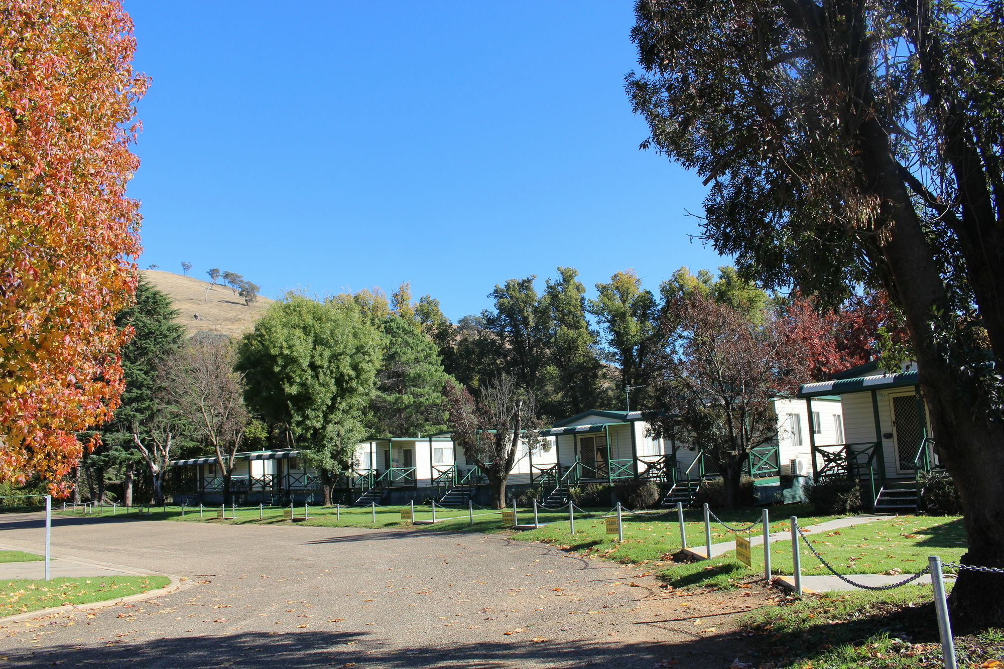 Gundagai Cabins & Tourist Park מראה חיצוני תמונה